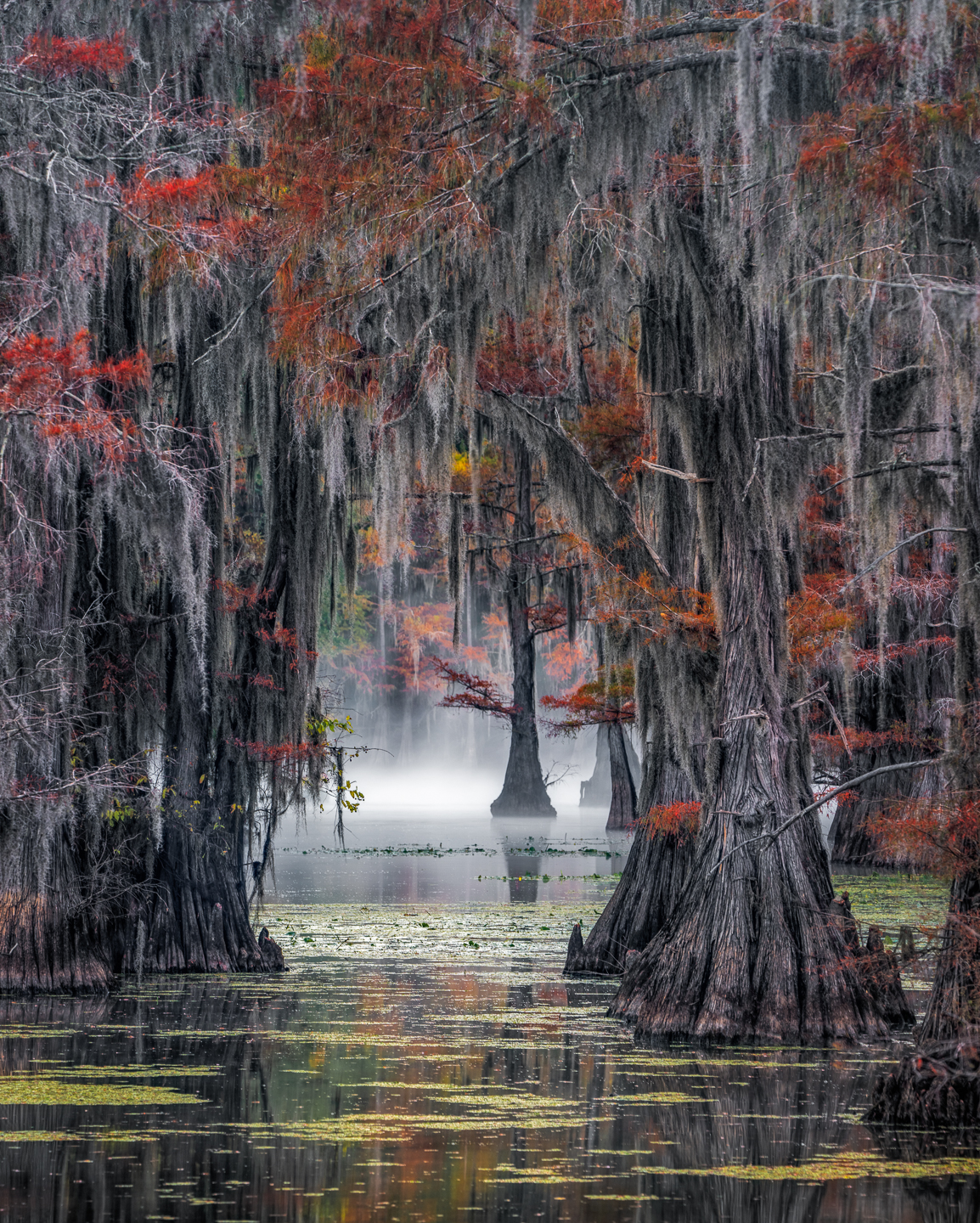 1st PrizeOpen Color In Class 3 By Robin Harrison For Ghosts Of The Bayou DEC-2021.jpg